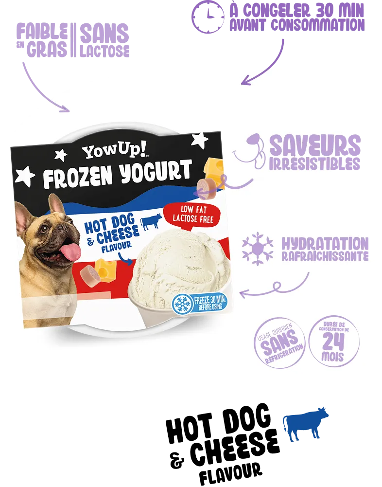 Frozen Yogurt Hot Dog & Cheese