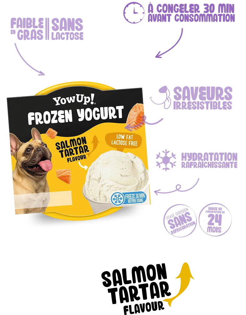 Frozen Yogurt Salmón Tartar